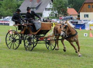 Fahrercup Frohnleiten 26.06.2010