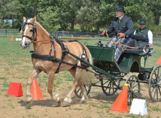 3. Teilbewerb Fahrercup 2015