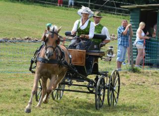 Landesmeisterschaft Steiermark/Kärnten 2015