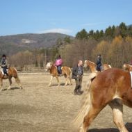 Bilder_Fotoaberat_059.jpg