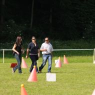 B8F99ED3-9B61-0D95-5679-EFE4E92684CC.jpg
