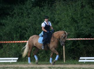 Showauftritt beim RV Hagonberg