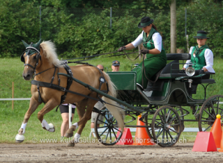 Europachampionat 2012