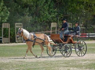 Gespannfahren 09