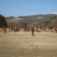 Bilder_Fotoaberat_056.jpg