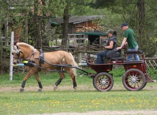 Trainingskurs mit Remer Markus