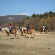 Bilder_Fotoaberat_058.jpg
