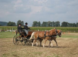 Landesmeisterschaft Gespannfahren 2009